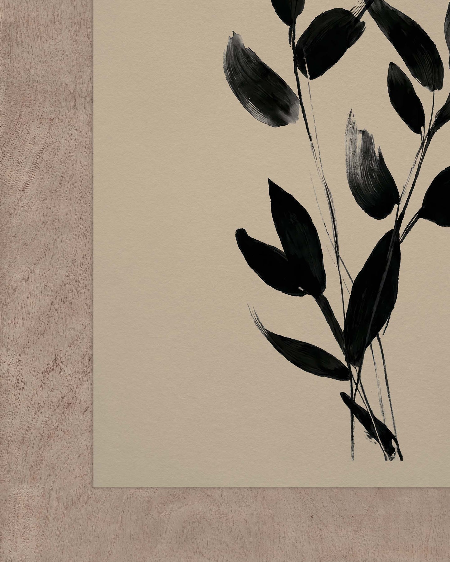 Noir Botanica