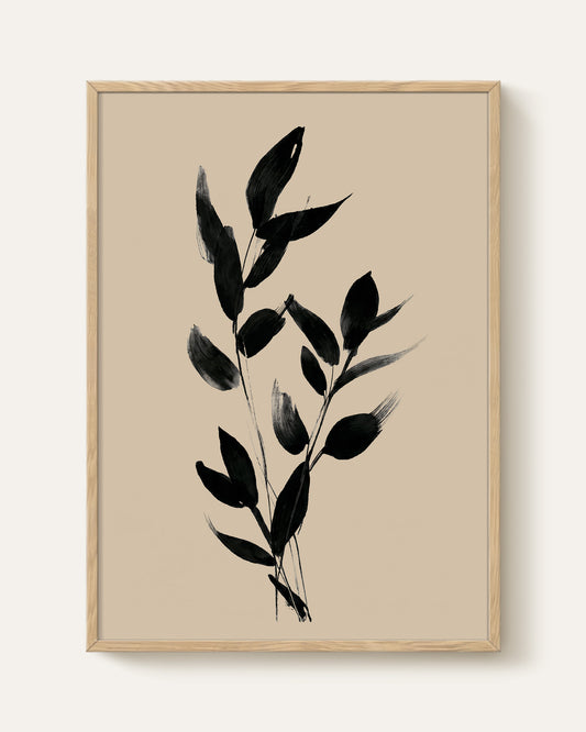 Noir Botanica